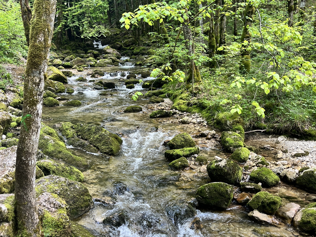 23-05-22 13-37-29 5554